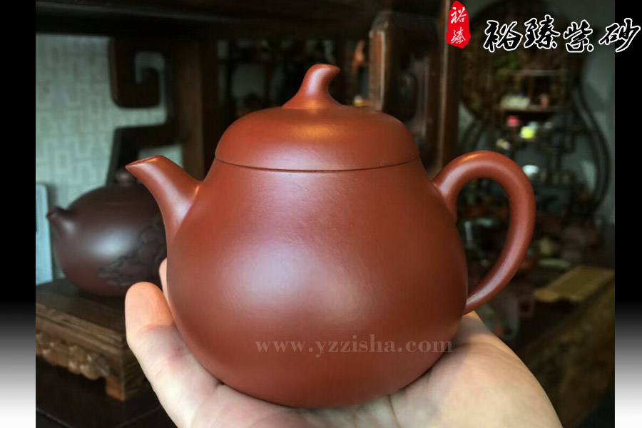 沈郑茄段壶