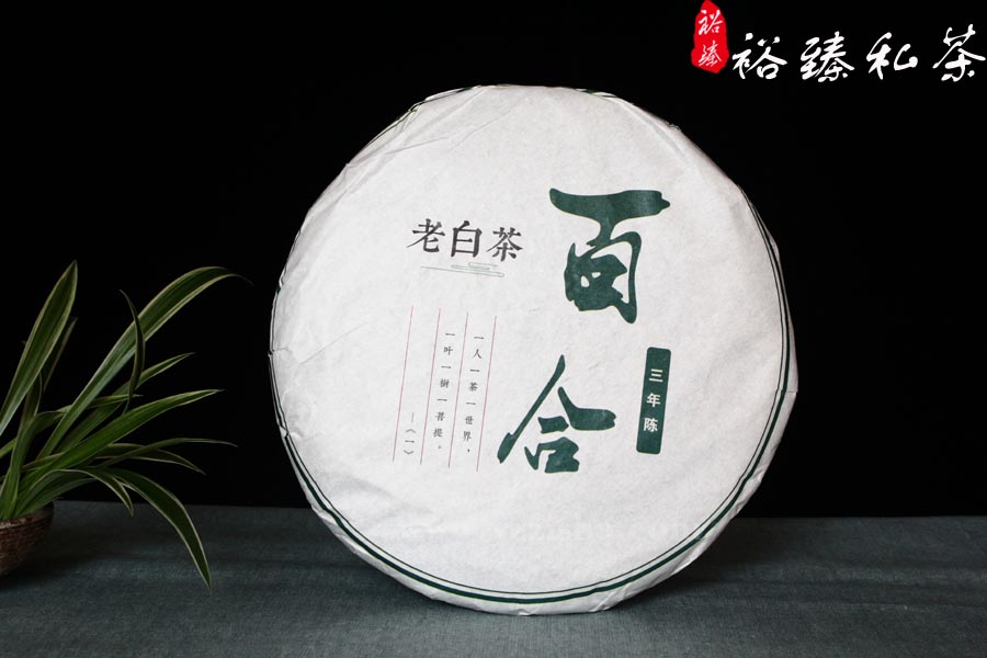 福鼎老白茶