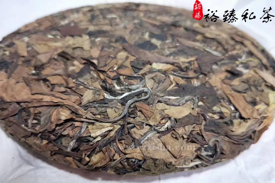 福鼎老白茶4